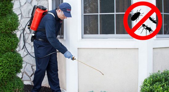 Nurdağı Karınca İlaçlama böcek ilaçlama ve haşere kontrolü — ilaclama-tr.com